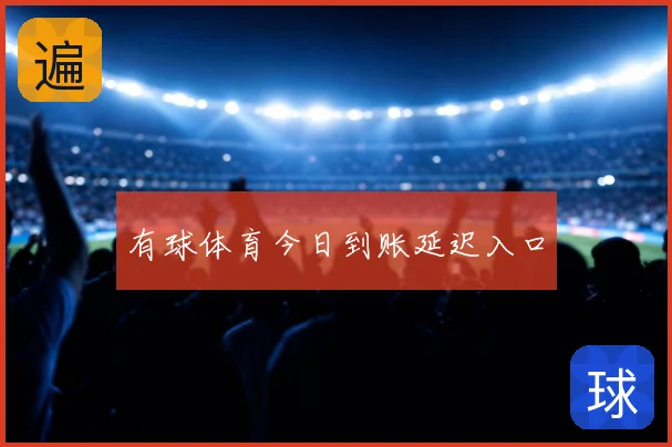 有球体育今日到账延迟入口