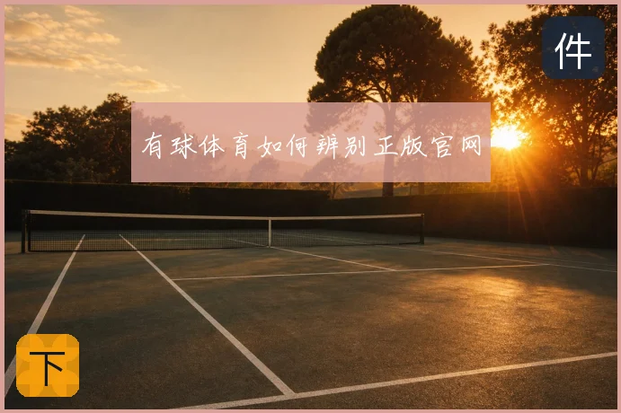 有球体育如何辨别正版官网
